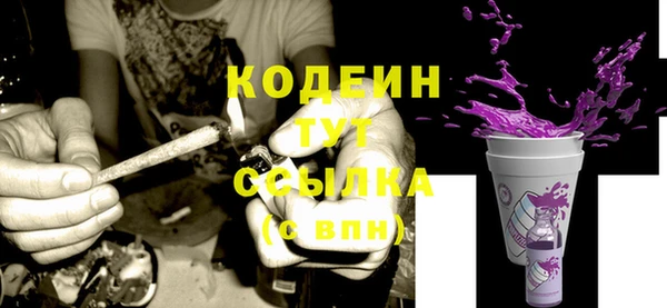 PSILOCYBIN Инта