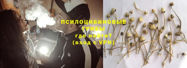 PSILOCYBIN Каменногорск