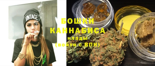 PSILOCYBIN Каменногорск