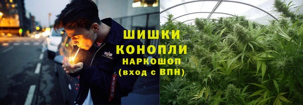индика Ступино