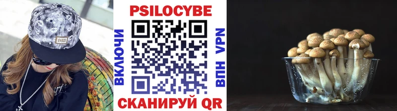 Галлюциногенные грибы ЛСД  Купить  Горнозаводск 